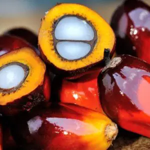 n-Ojon ojon oil nano haircare ingredient