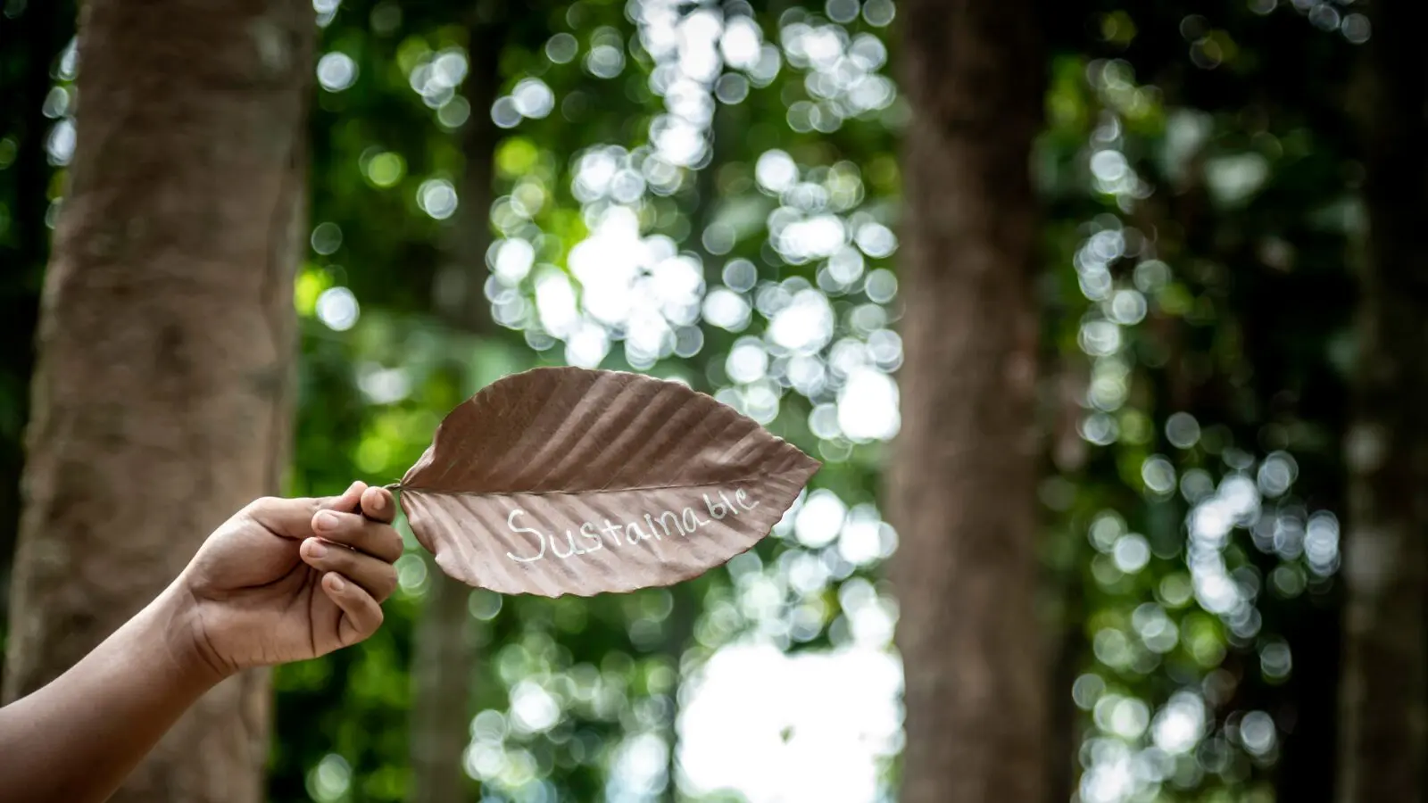 Grand Ingredients Invests in Sustainable Plant-Based Technologies