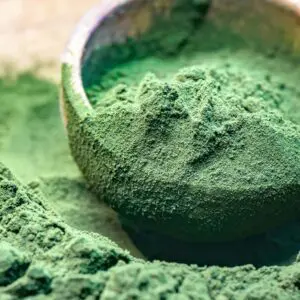 Nannochloropsis – Natural Omega-3 EPA Microalgae | Grand