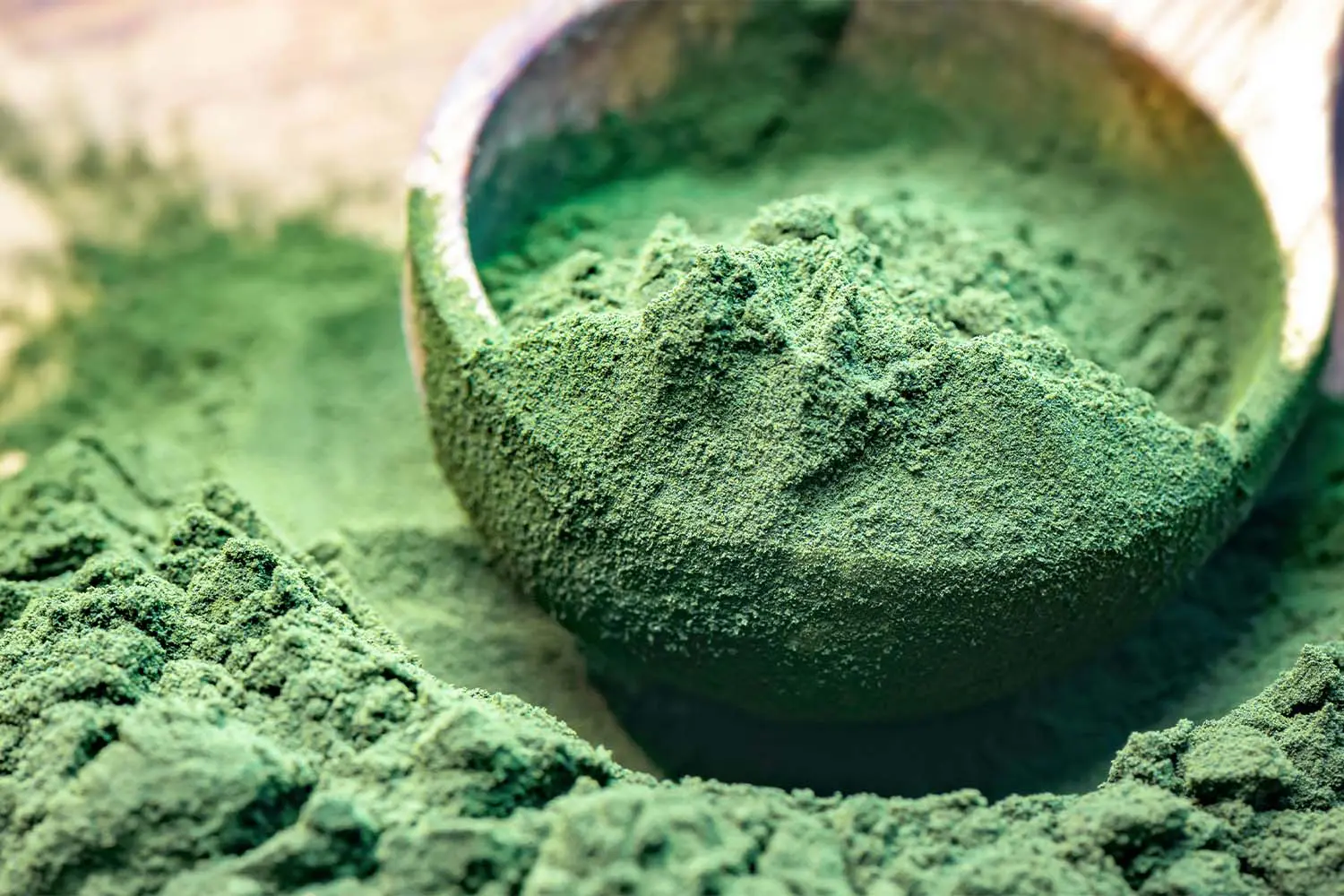 Nannochloropsis – Natural Omega-3 EPA Microalgae | Grand