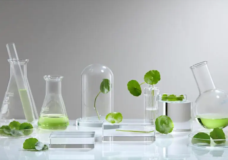 Centella asiatica (Cica) leaves with water droplets, soothing care for rosacea-prone skin