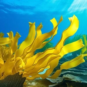 Kelp PDRN plant-based PDRN hydrating and anti-aging ingredient