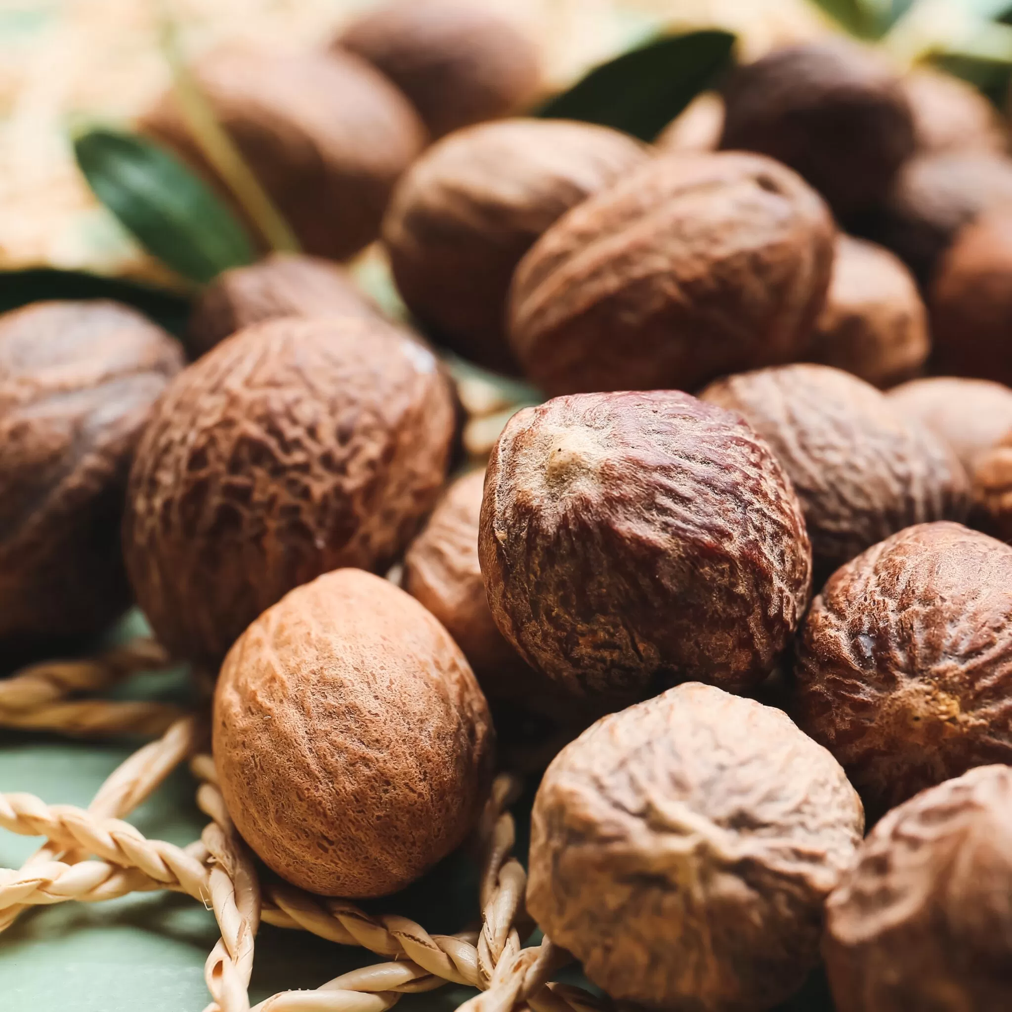 nCoating nano protective skincare and pet care antioxidant ingredient