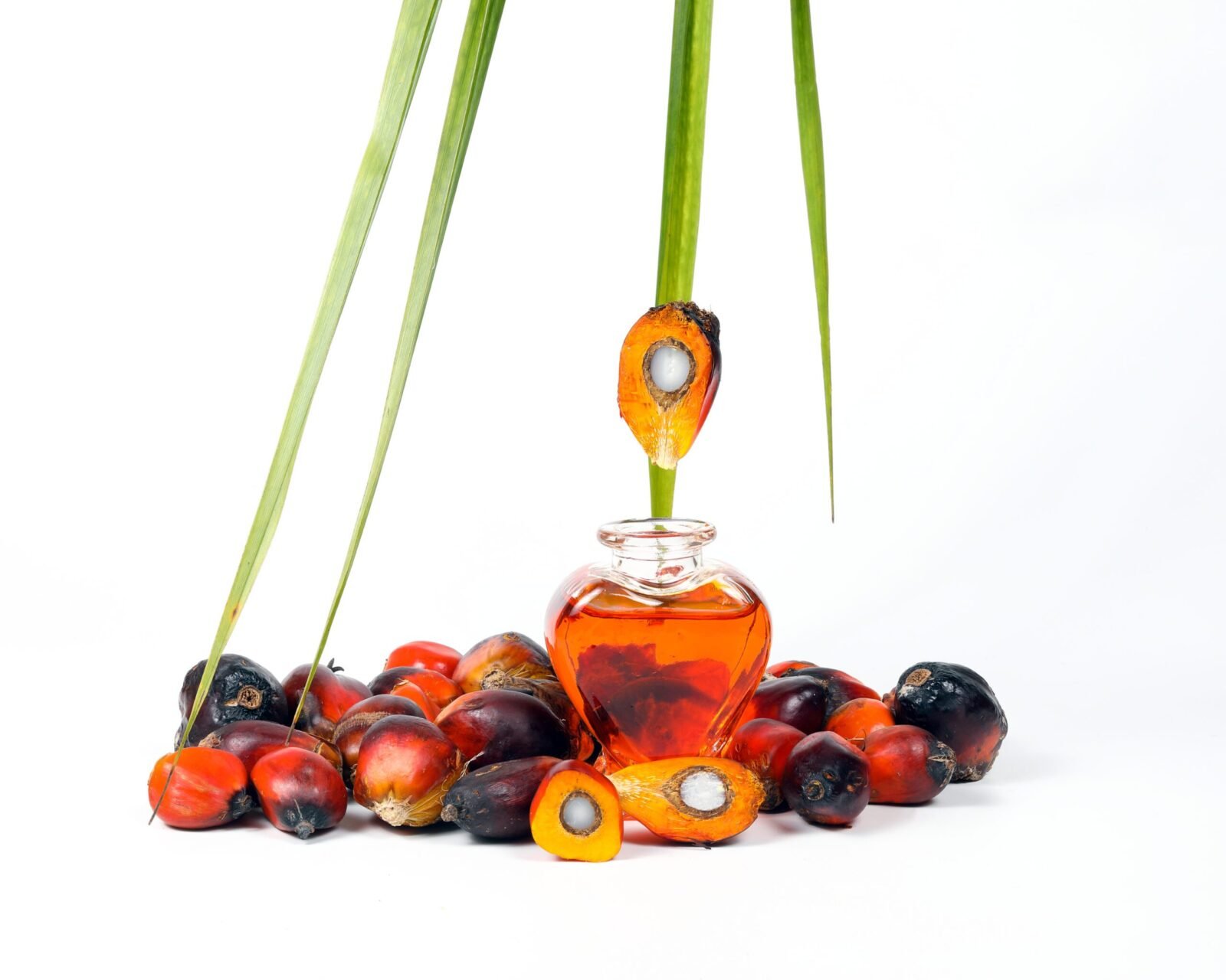 Batana oil in a glass bottle with palm fruits, a natural cosmetic ingredient for nourishing hair and skin.