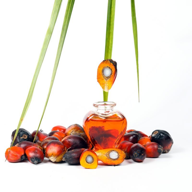 Batana oil in a glass bottle with palm fruits, a natural cosmetic ingredient for nourishing hair and skin.