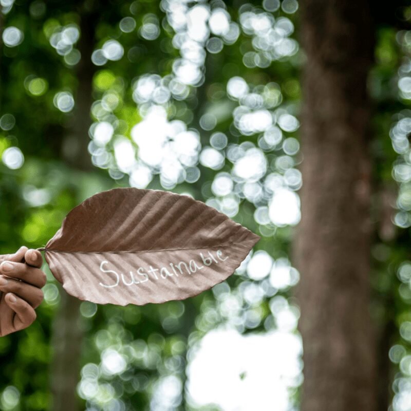 Grand Ingredients Invests in Sustainable Plant-Based Technologies