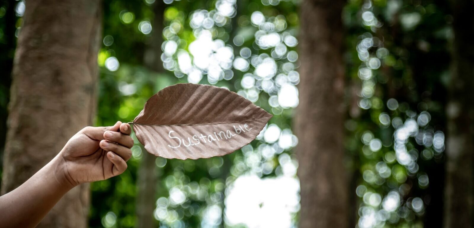 Grand Ingredients Invests in Sustainable Plant-Based Technologies