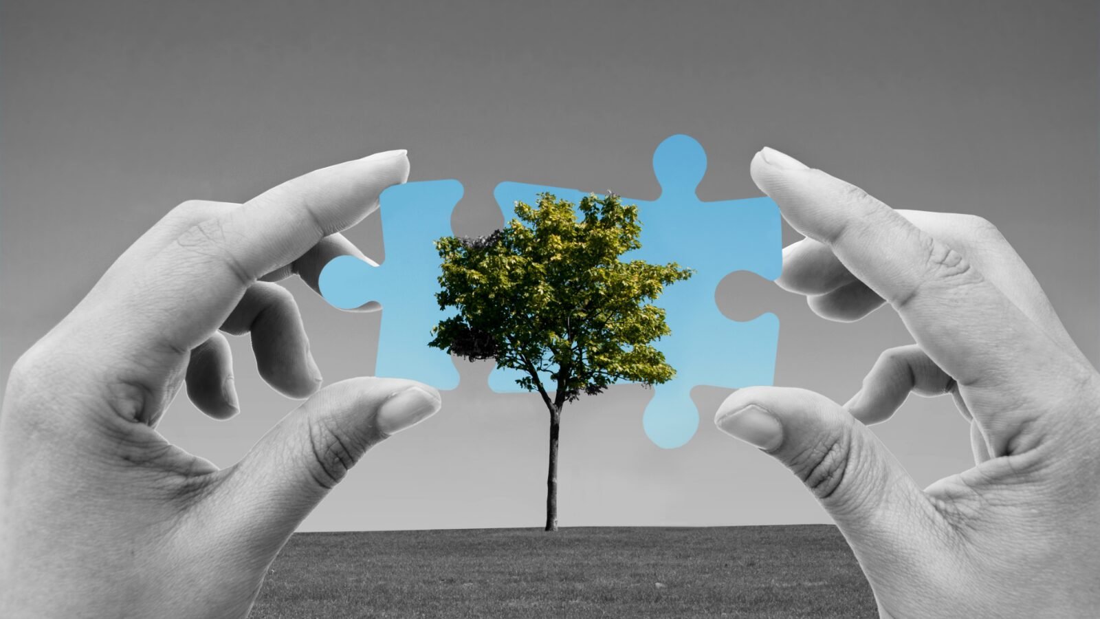 Ethical workplace culture and responsible corporate values at Grand Ingredients
