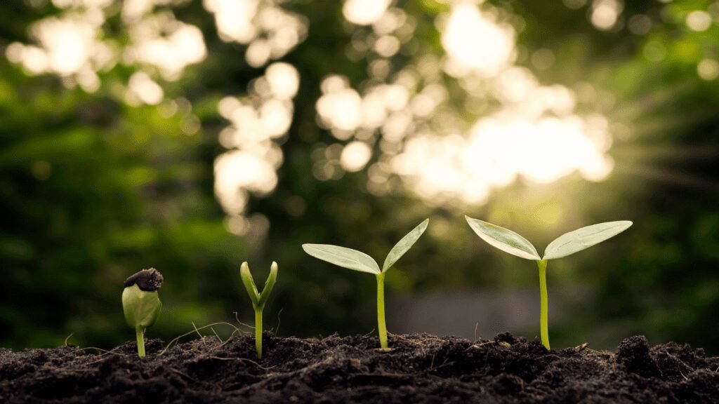 Sustainable innovation and eco-friendly ingredient development at Grand Ingredients