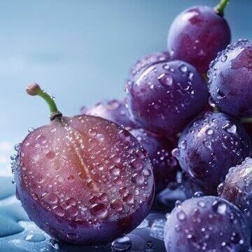 SCH ShellCare RR encapsulated resveratrol anti-aging ingredient