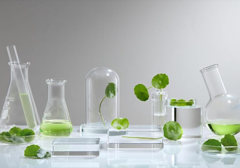 Centella asiatica (Cica) leaves with water droplets, soothing care for rosacea-prone skin