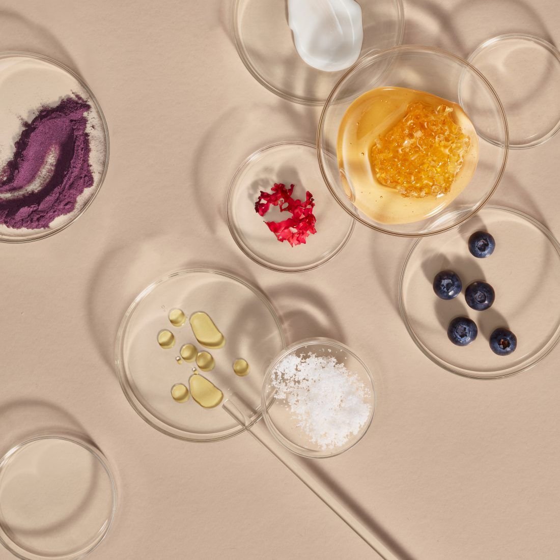 Mediterranean vegetal extracts for cosmetics – olive, chamomile, calendula, rosemary, sage