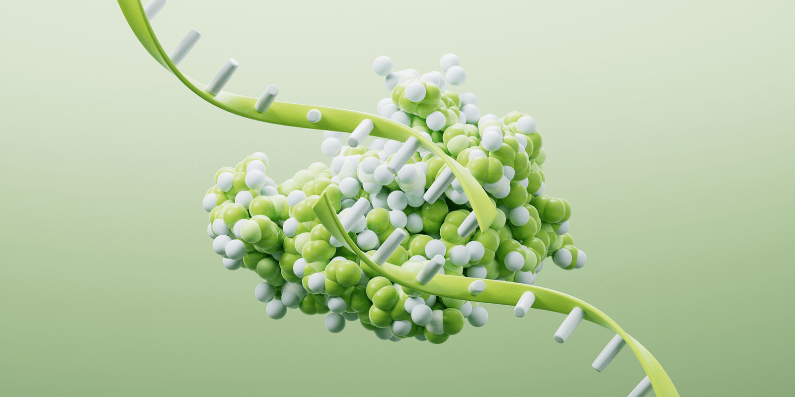 Vegan PRN for skin regeneration – bioactive RNA for boosting collagen and elastin production in skin care formulations.