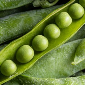 Jeju Blue Soybean PDRN, plant-derived DNA for skin regeneration, anti-aging, and hydration.