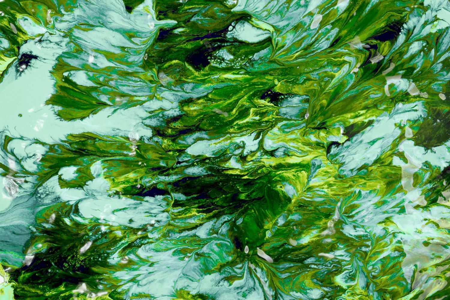 Marine polysaccharides such as fucoidan laminarin and ulvan for skin hydration