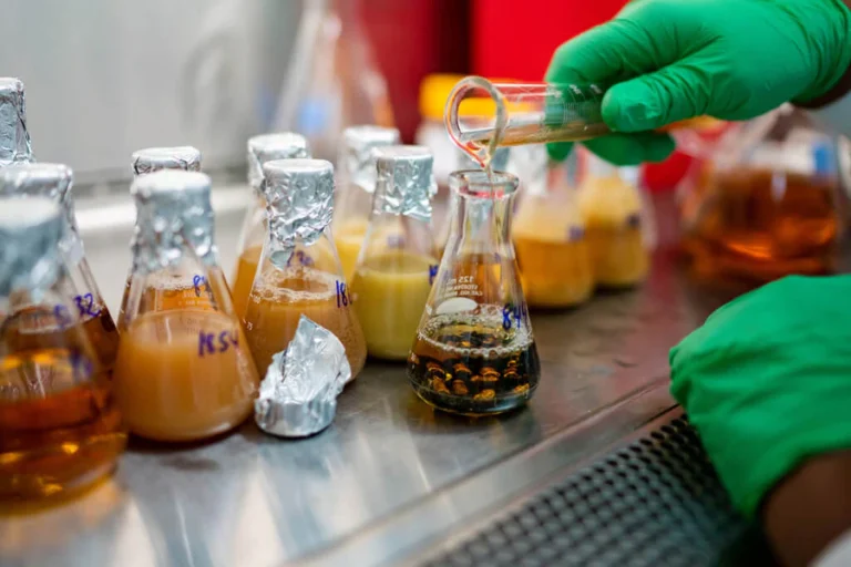 Next Horizon Predicting Postbiotic Ferment Systems 2026