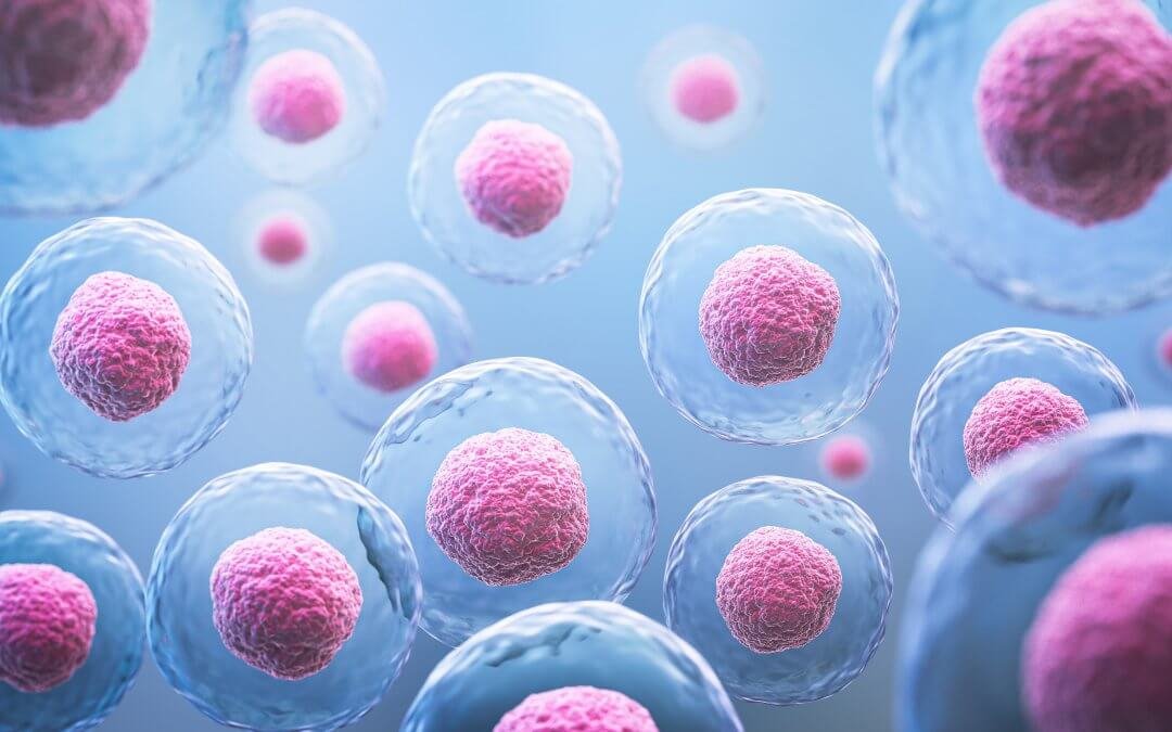 Plant Exosomes and the Future of Skin Regeneration