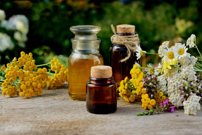 Fermented plant extracts potency boost skincare