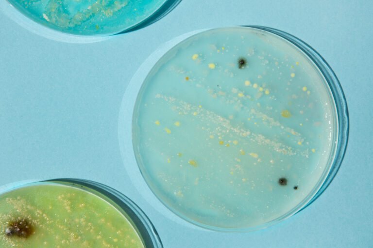 Microbiome Environmental Shield: Postbiotics for Urban Skin Defense