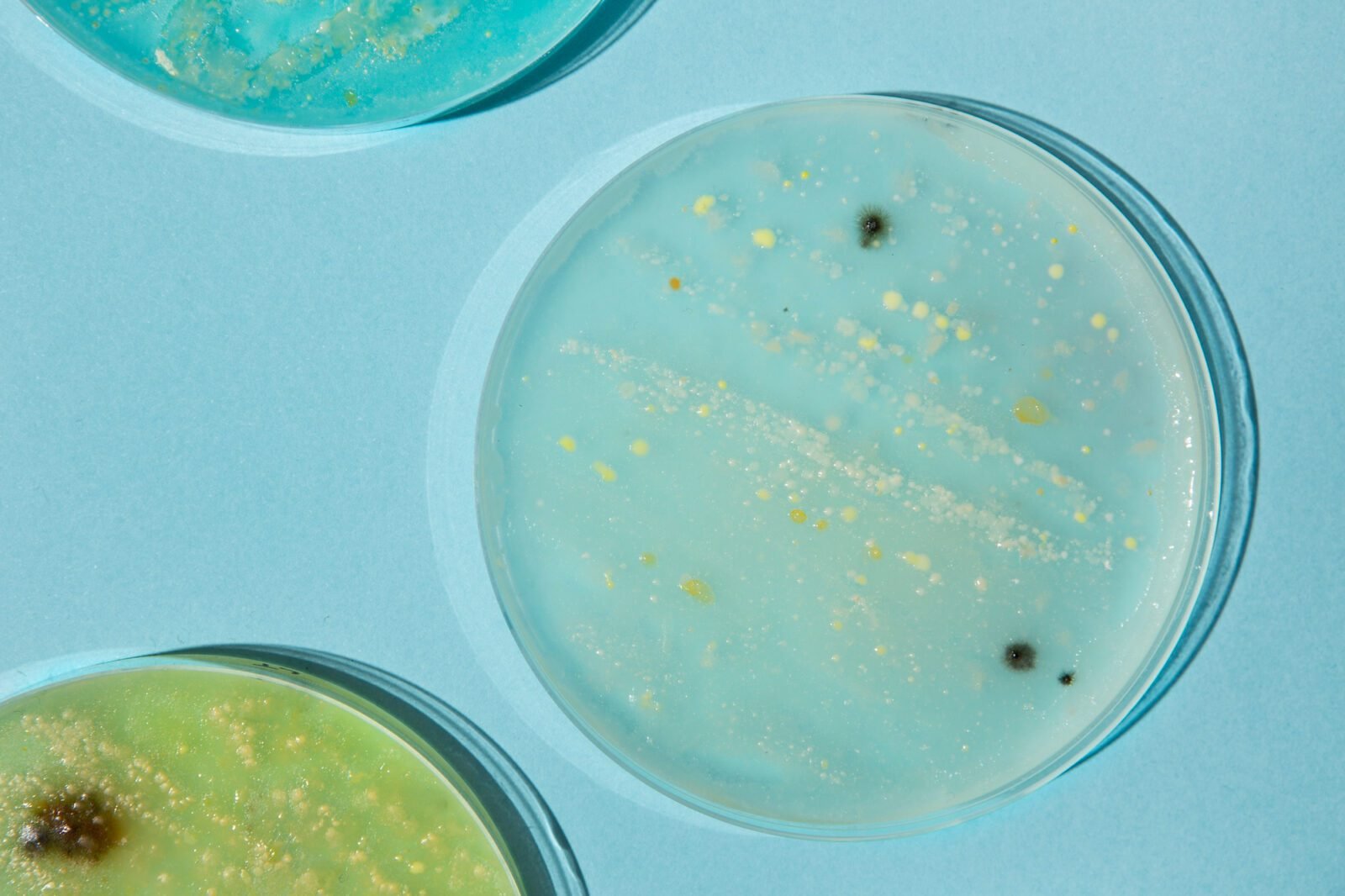 Microbiome Environmental Shield: Postbiotics for Urban Skin Defense