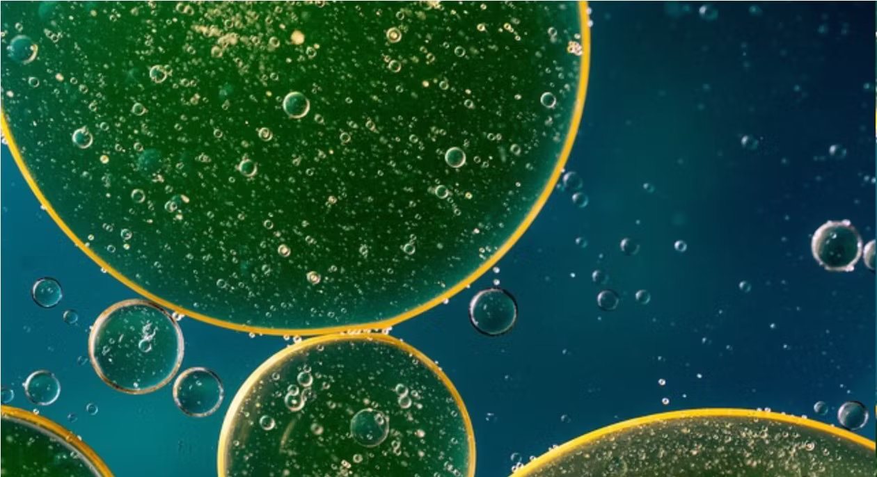 Comparison of microemulsion and nanoemulsion oil–water systems