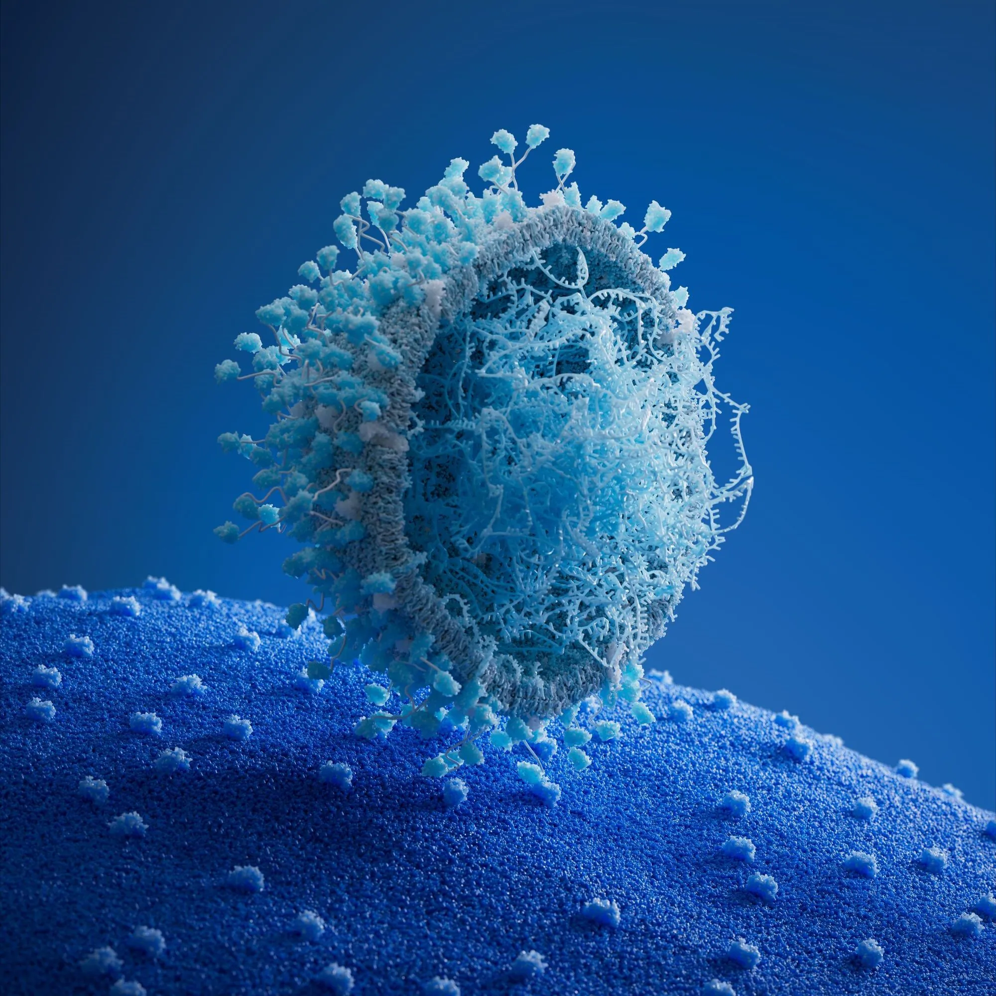 diagram of encapsulated retinoid microspheres penetrating skin layers