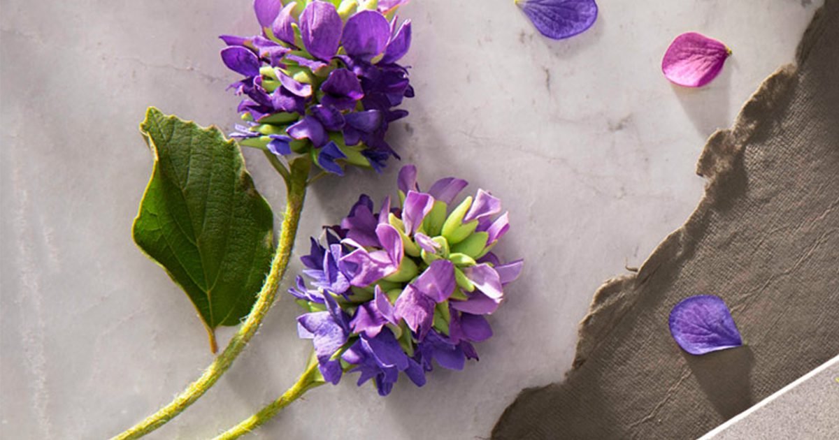 fermented bakuchiol for sensitive skin retinol alternative