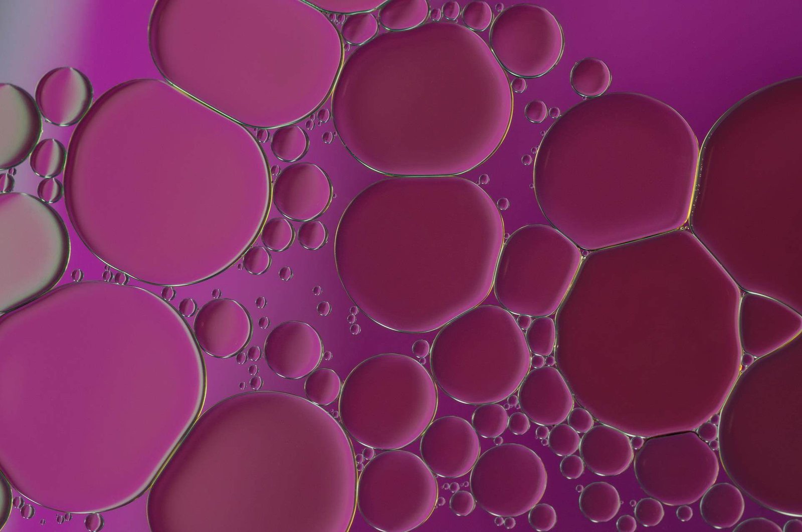 Oil and water emulsion stabilized with electrolyte-tolerant emulsifiers in a high-salt system
