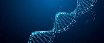 Encapsulated PDRN nanocarriers improving penetration and controlled release in skincare