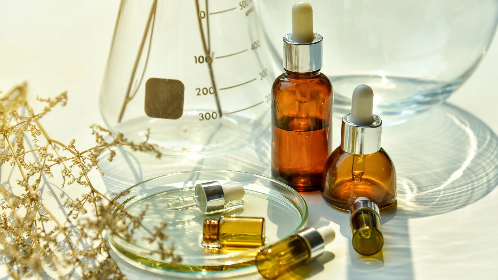 Bioferments enhancing cosmetic preservation systems for clean beauty