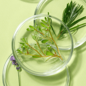 Lipo Plant Extracts – Oil-Soluble Botanical Extracts for Skin and Hair Care