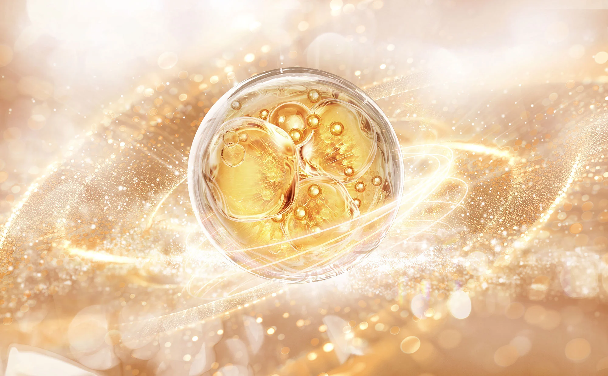 Proteostasis in skin protein folding and anti-aging mechanism visualization