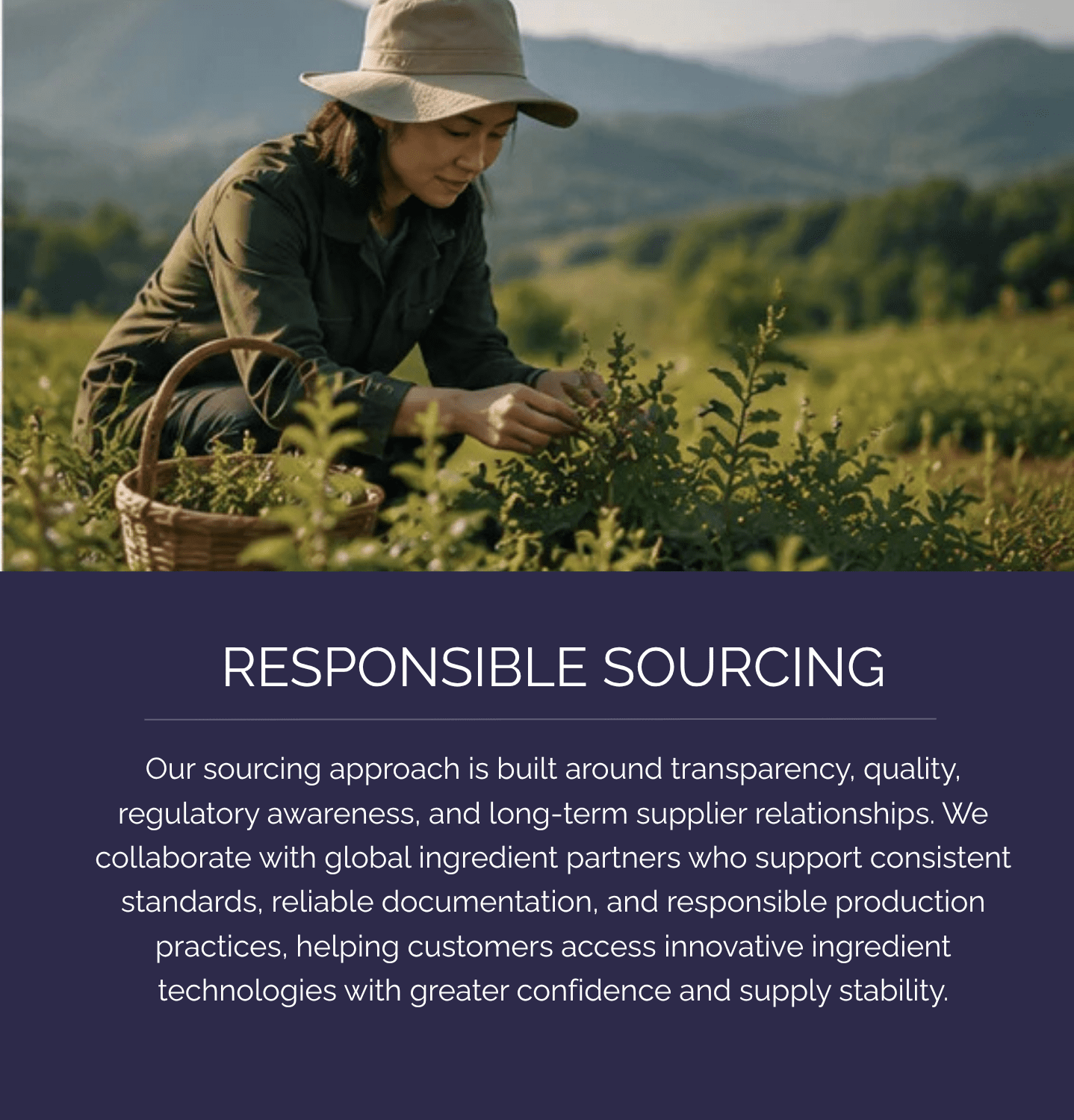 Farmer walking through cultivated green fields for responsible ingredient sourcing