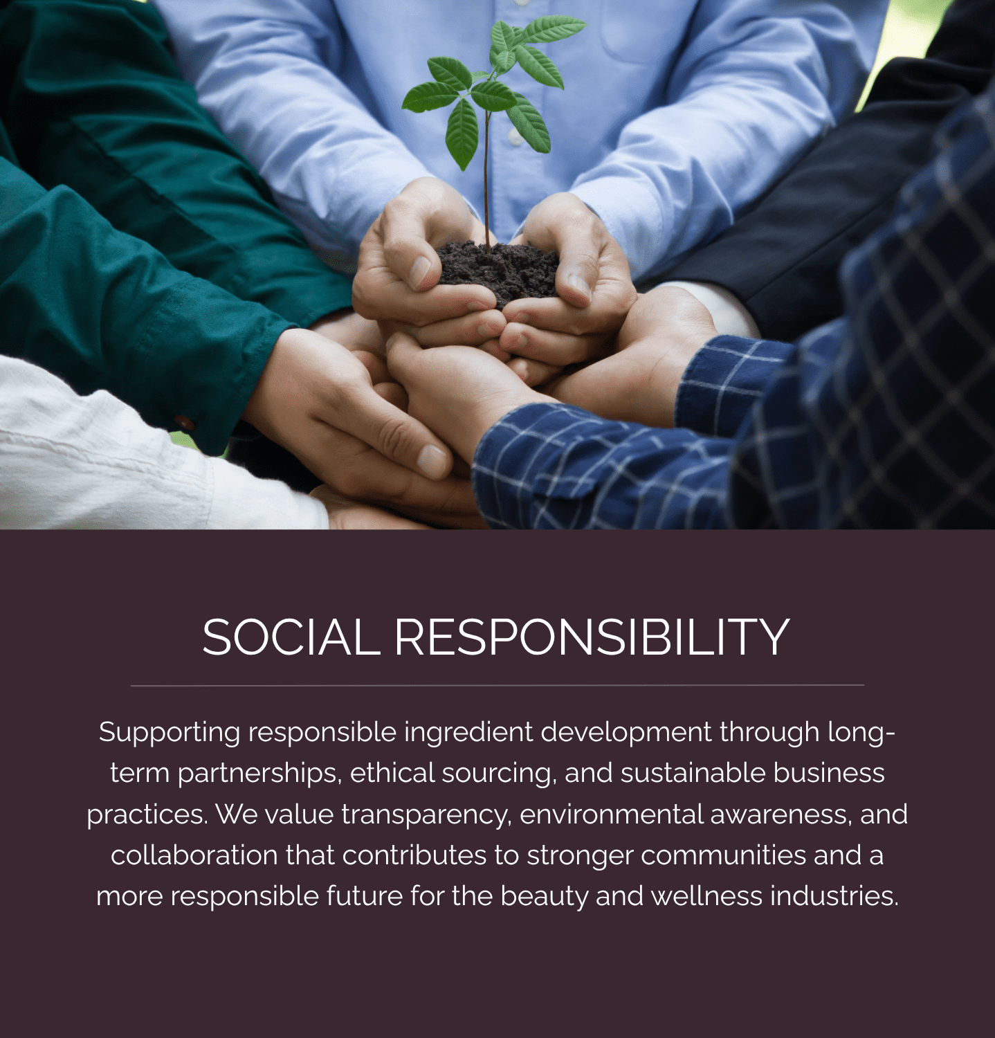 Diverse group holding hands together to represent social responsibility and collaboration