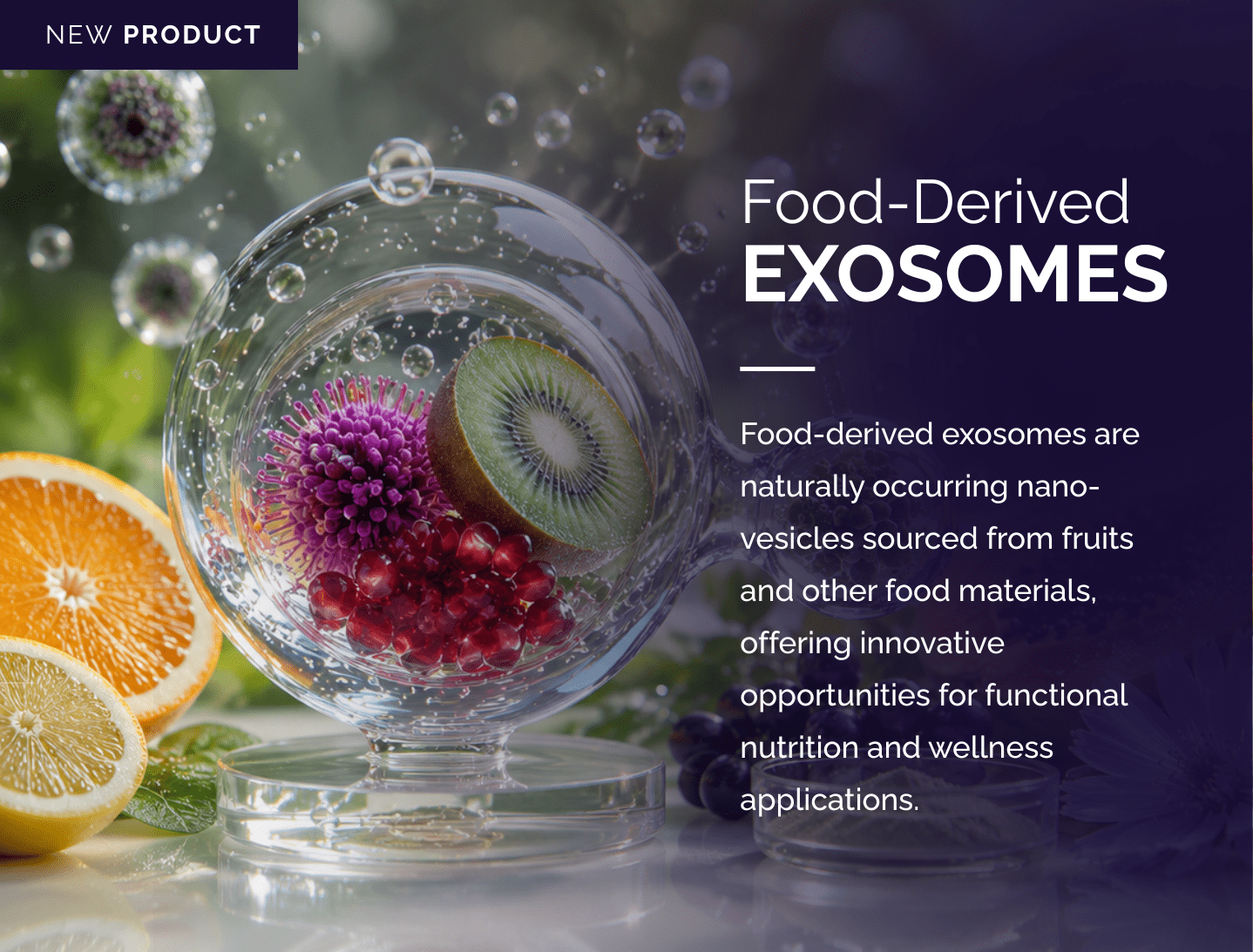 Food-derived exosomes sourced from fruits and natural food materials for functional nutrition and dietary supplement applications.