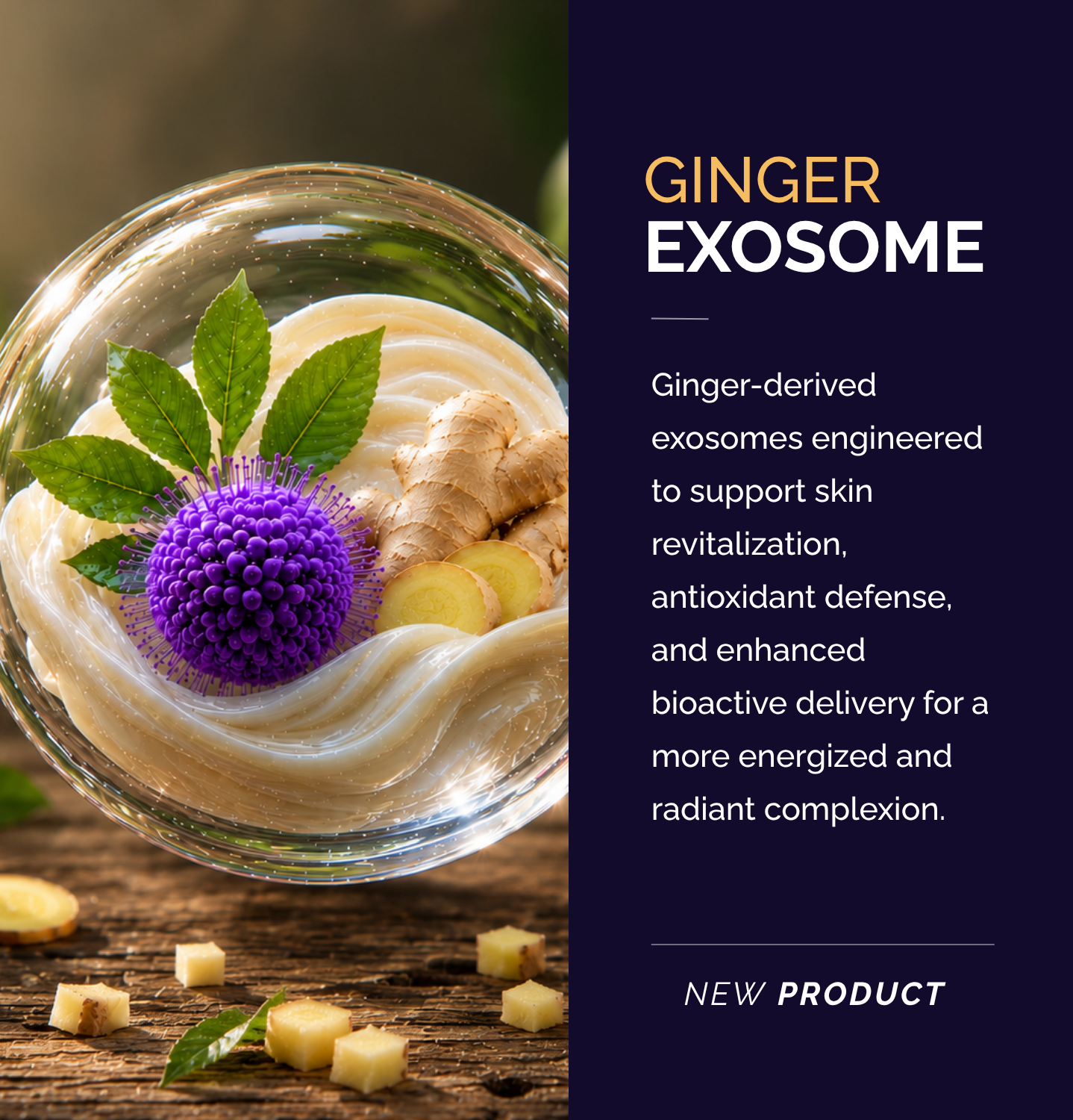 Ginger-derived exosome cosmetic active ingredient supporting skin revitalization, antioxidant defense, and bioactive delivery for skincare formulations.