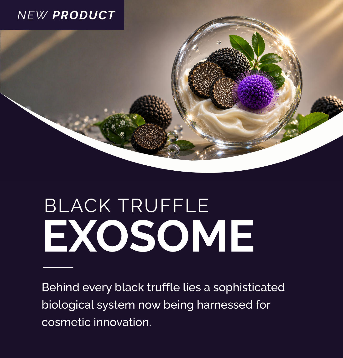 Black Truffle Exosome bioactive delivery ingredient for skin regeneration by Grand Ingredients